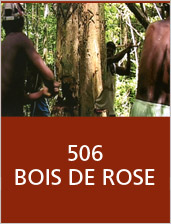 506 Bois de rose